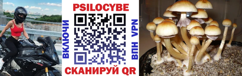 Галлюциногенные грибы MAGIC MUSHROOMS  где можно купить   Ахтырский 